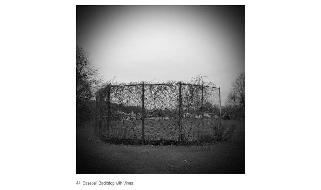 Backstop with Vines