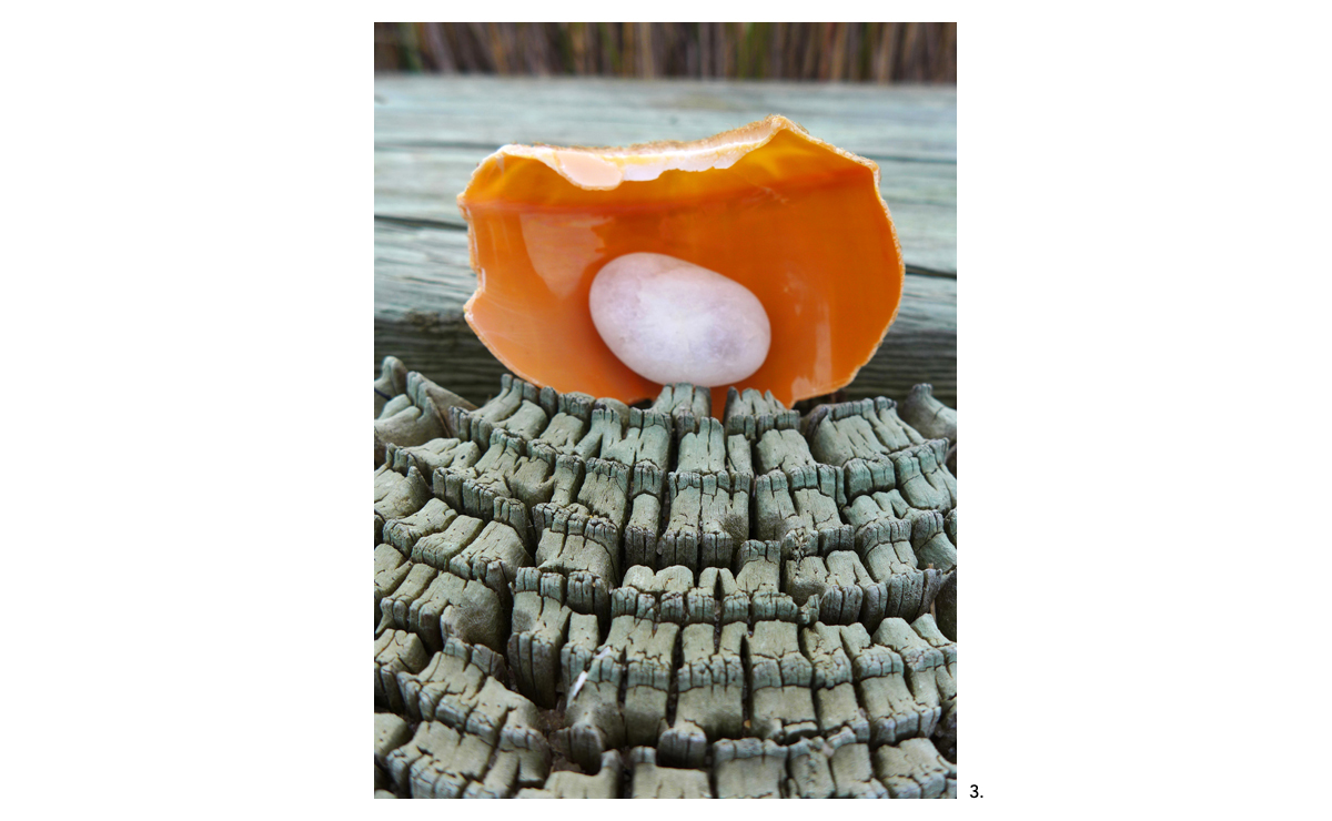 03 Orange Shell on tope of Blue Post